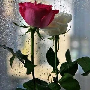 Meet your Posher, Deena